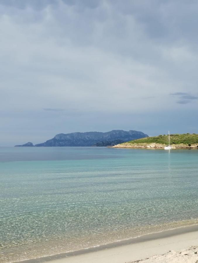 La Dolce Dimora Διαμέρισμα Όλμπια Εξωτερικό φωτογραφία